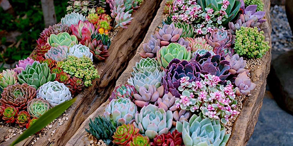 艾思荔冷熱沖擊試驗(yàn)機(jī)廠家客戶見(jiàn)證